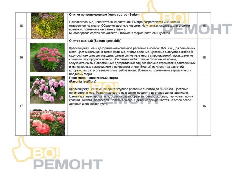 Проект благоустройства территории-102